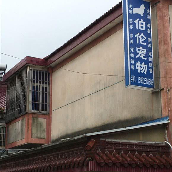 伯伦宠物店:苏州市吴江区太湖新城镇附近