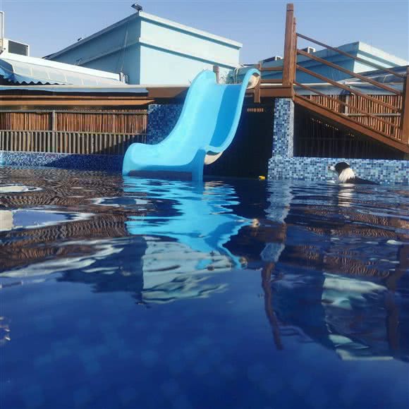 萌掌柜宠物乐园:苏州市吴江区太湖新城镇附近