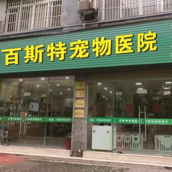 关爱宠物·百斯特宠物诊所猫专科·异宠专科·老年病心脏专科:苏州市吴江区太湖新城镇附近