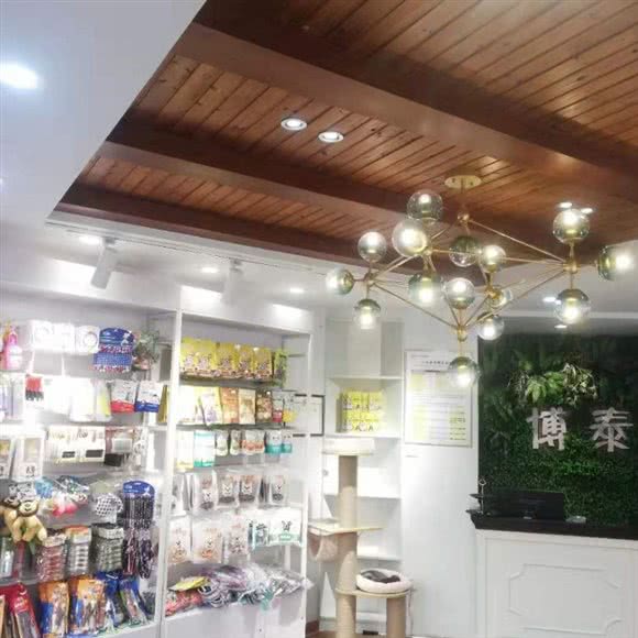 博泰宠物诊所:苏州市吴江区太湖新城镇附近