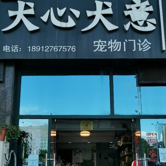 犬心犬意宠物门诊店:苏州市吴江区太湖新城镇附近