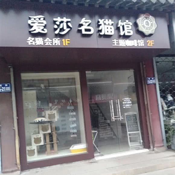 爱莎名猫馆:苏州市常熟市虞山镇附近