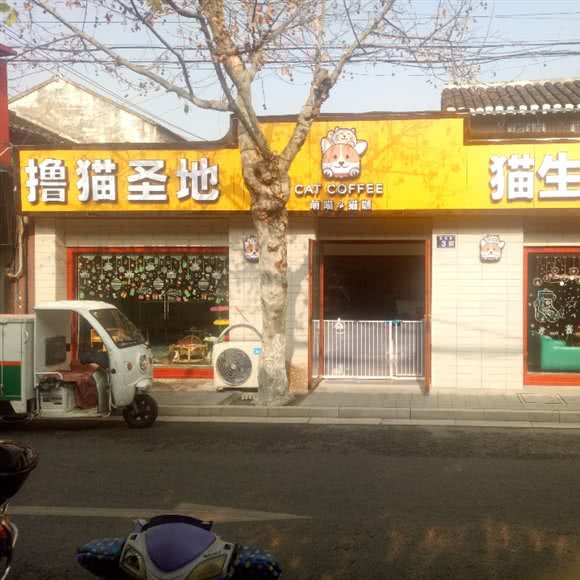 萌喵猫咖:苏州市常熟市虞山镇附近