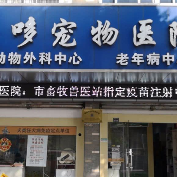 爱哆宠物医院:苏州市常熟市虞山镇附近