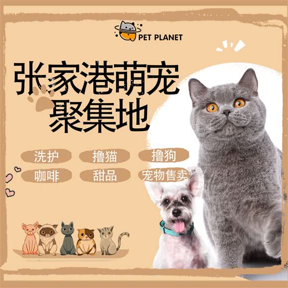 PET PLANET宠物星球:苏州市张家港市杨舍镇附近