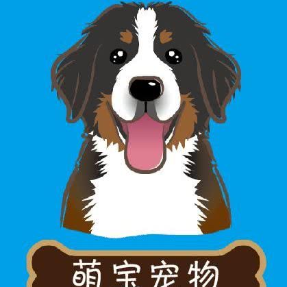 萌宝宠物店:苏州市张家港市杨舍镇附近