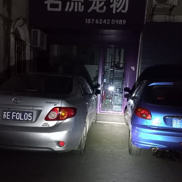 名流宠物店:苏州市张家港市杨舍镇附近