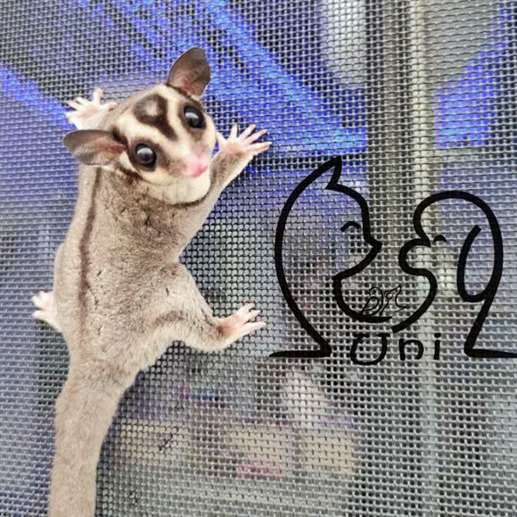 Uni相伴(专营店):苏州市张家港市杨舍镇附近