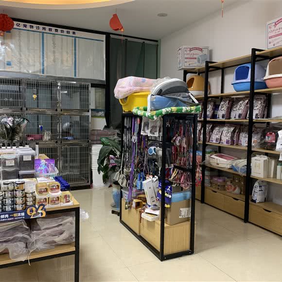 康宝亿宠物诊所:苏州市张家港市杨舍镇附近