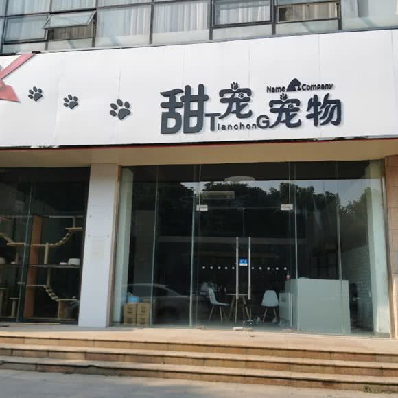 甜宠宠物:苏州市昆山市玉山镇附近