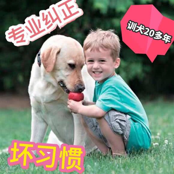 孙亮连锁宠物训练宠物寄养中心乐园:苏州市昆山市玉山镇附近