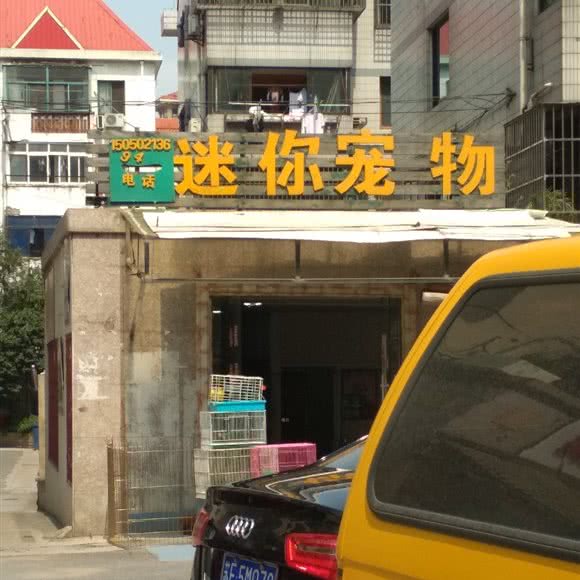 迷你宠物:苏州市昆山市玉山镇附近