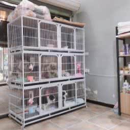 宠它宠物狗工作室:苏州市昆山市玉山镇附近