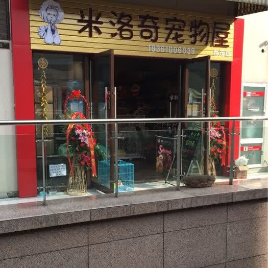 米洛奇宠物屋:苏州市昆山市玉山镇附近