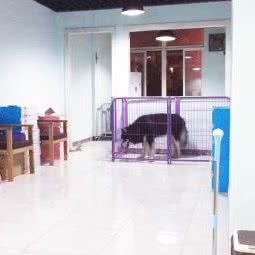 艾尼默宠物:苏州市昆山市玉山镇附近