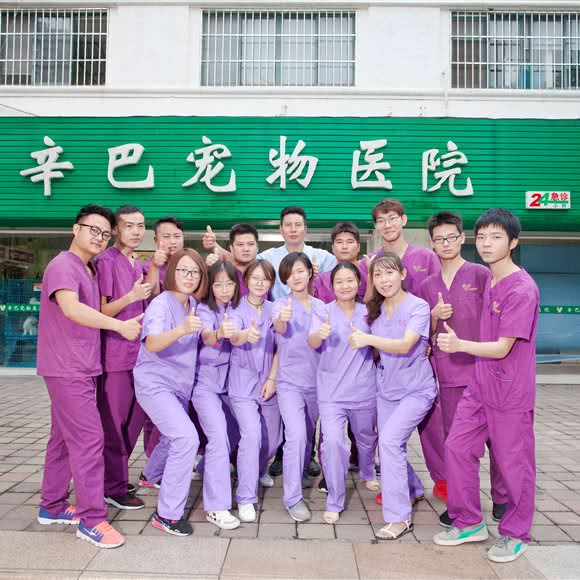 辛巴宠物医院(柏庐南路店):苏州市昆山市玉山镇附近