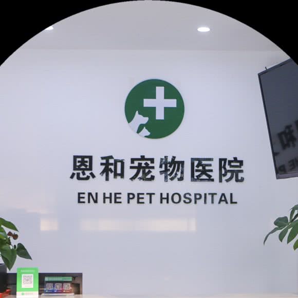 恩和宠物医院:苏州市昆山市玉山镇附近