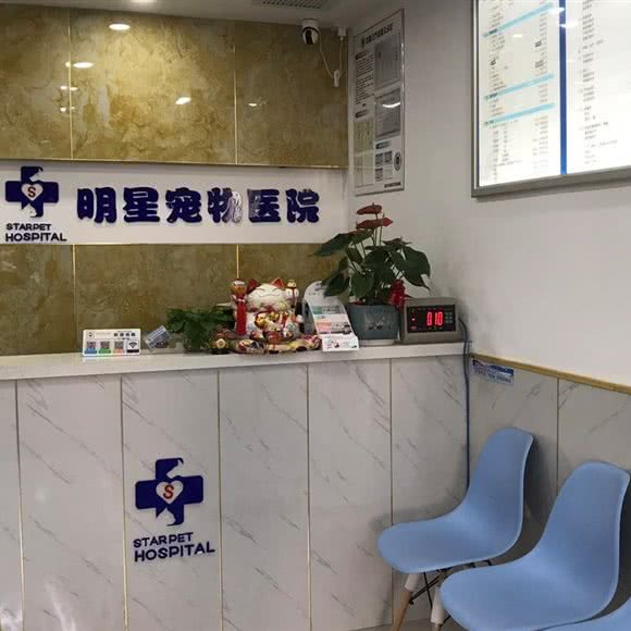 明星宠物医院(中山路店):苏州市昆山市玉山镇附近