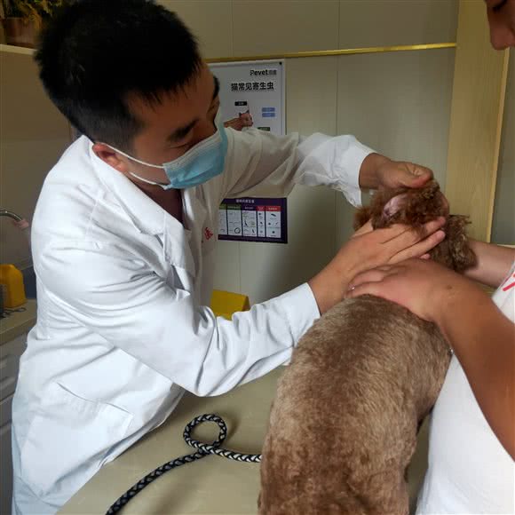 爱康宠物医院(开发区店):苏州市昆山市玉山镇附近