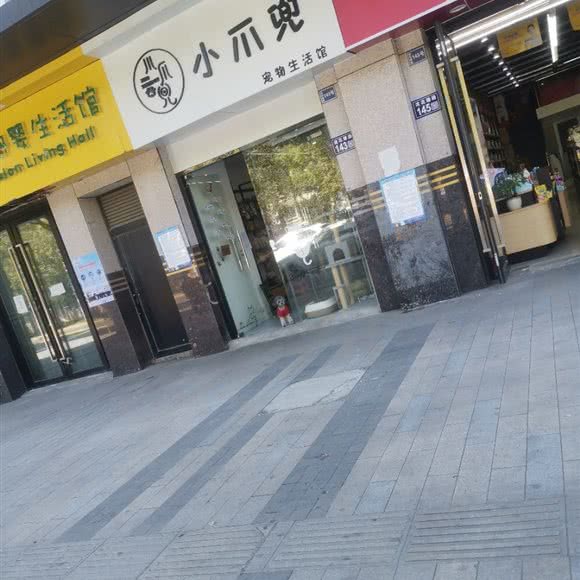 小爪兜宠物生活馆:苏州市昆山市开发区附近