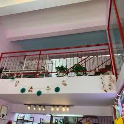 狗饵宠物店:苏州市昆山市花桥镇附近