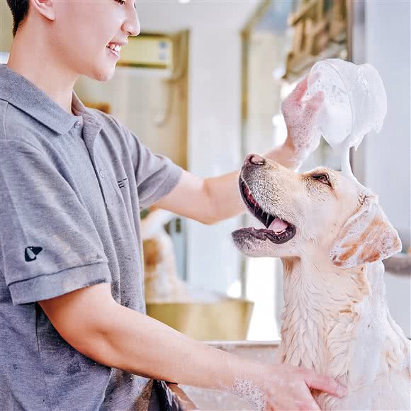 PETKIT小佩宠物(商银店):苏州市昆山市花桥镇附近