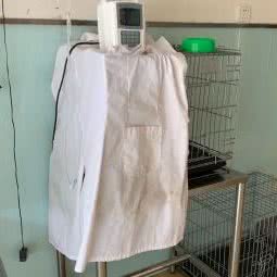 爱康京宏宠物医院次渠分院(次渠分院):北京城区通州区次渠附近