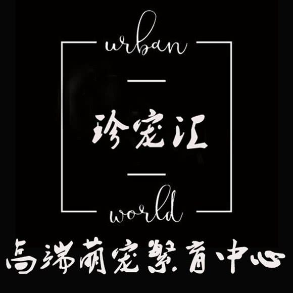 珍宠汇·宠物猫狗售卖(三里屯SOHO店):北京城区朝阳区三里屯/工体附近