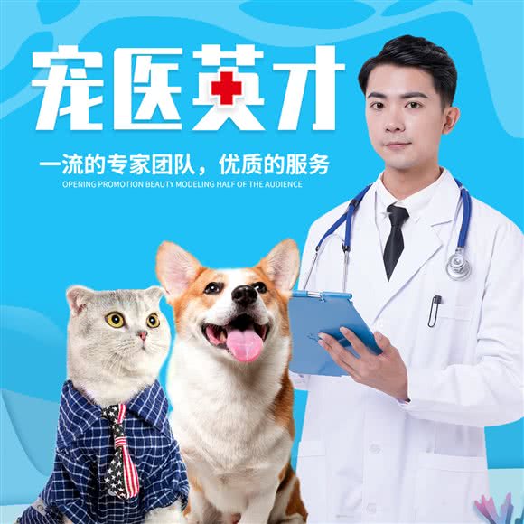 宠医英才动物医院:北京城区通州区次渠附近