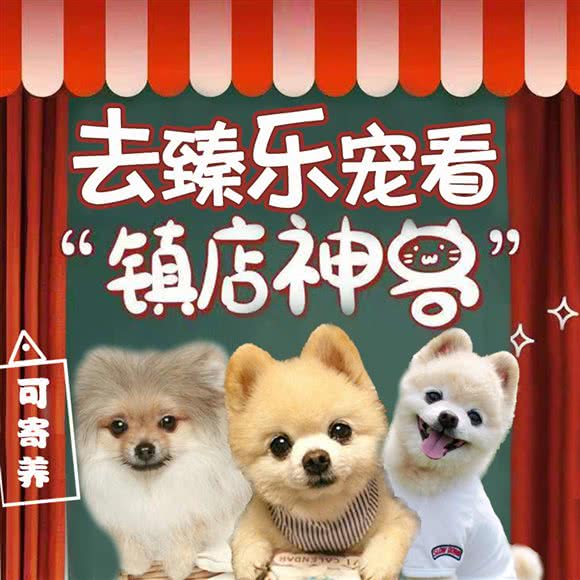 博美小院(通州店):北京城区通州区土桥附近