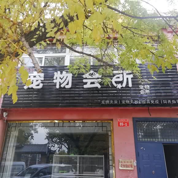 宠物会所:北京城区通州区土桥附近