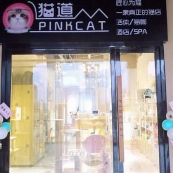 猫道:苏州市昆山市周市镇附近