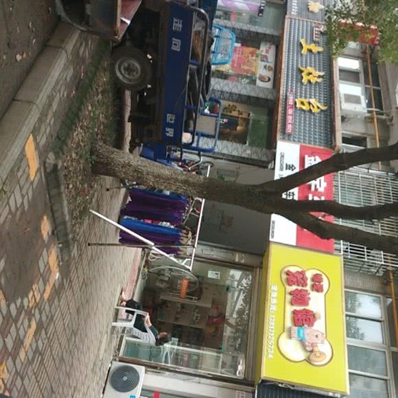 唯爱宠物馆:苏州市昆山市千灯镇附近