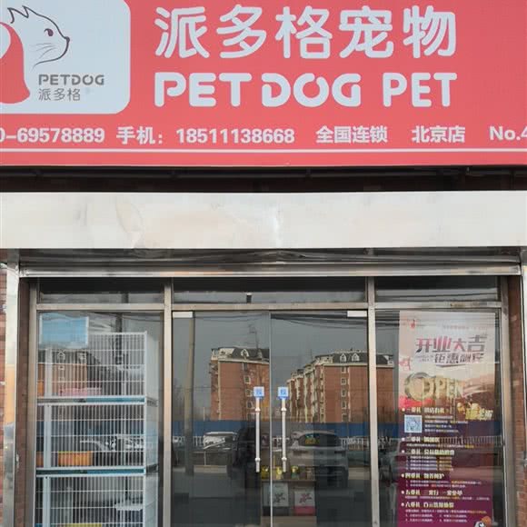 派多格宠物(太玉园店):北京城区通州区土桥附近