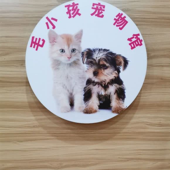 毛小孩宠物馆:苏州市昆山市千灯镇附近