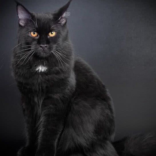 狗博士尾巴生活:苏州市昆山市张浦镇附近