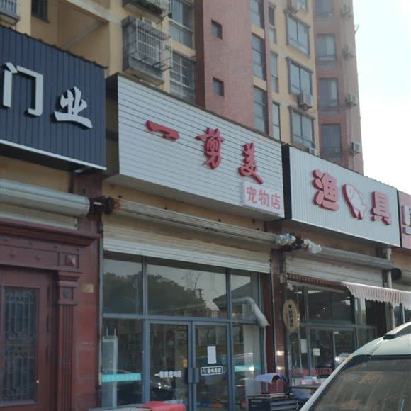 一剪美(宠物店):苏州市昆山市张浦镇附近