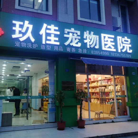 玖佳宠物医院:苏州市昆山市陆家镇附近