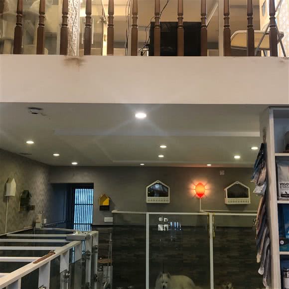 萌爪子宠物:南通市崇川区中南世纪城CBD附近