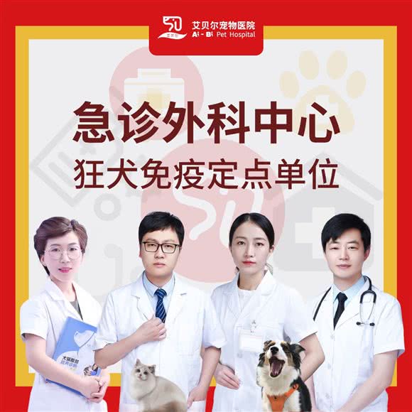 艾贝尔宠物医院(中南城店):南通市崇川区中南世纪城CBD附近