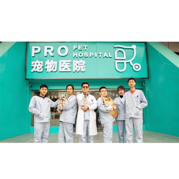 Pro宠物医院(中南店):南通市崇川区中南世纪城CBD附近