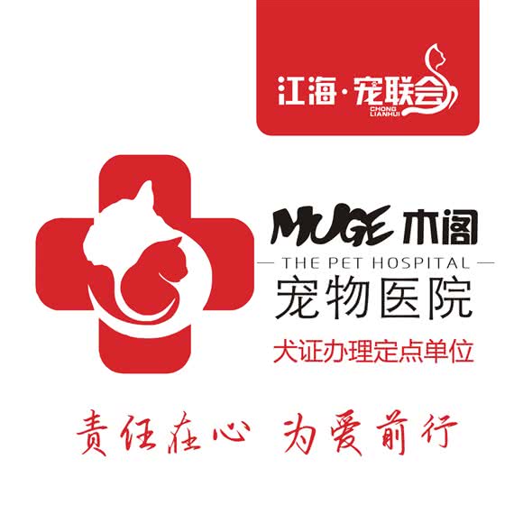 木阁宠物医院(青年路总店):南通市崇川区南大街附近