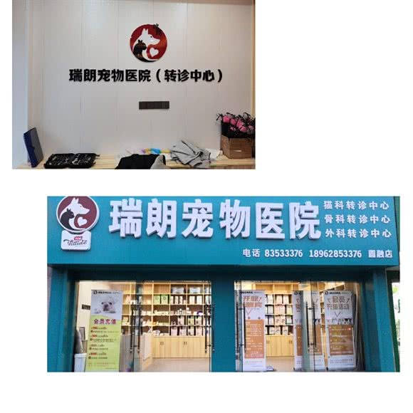 瑞朗宠物医院（猫科中心）(瑞朗宠物连锁机构工农路店):南通市崇川区圆融广场附近
