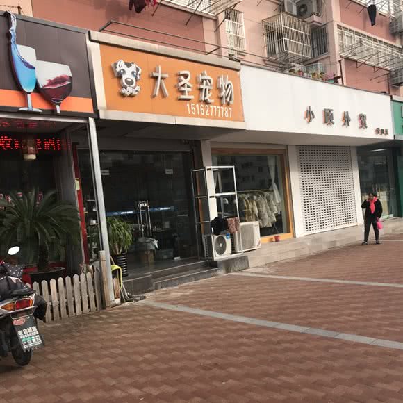 大圣宠物生活馆:南通市崇川区五一路附近