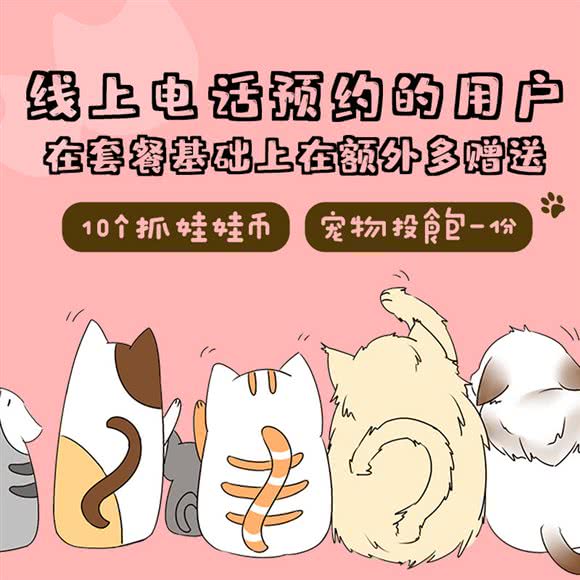 千寻布偶家·布偶金渐德文(三里屯总店):北京城区朝阳区三里屯/工体附近