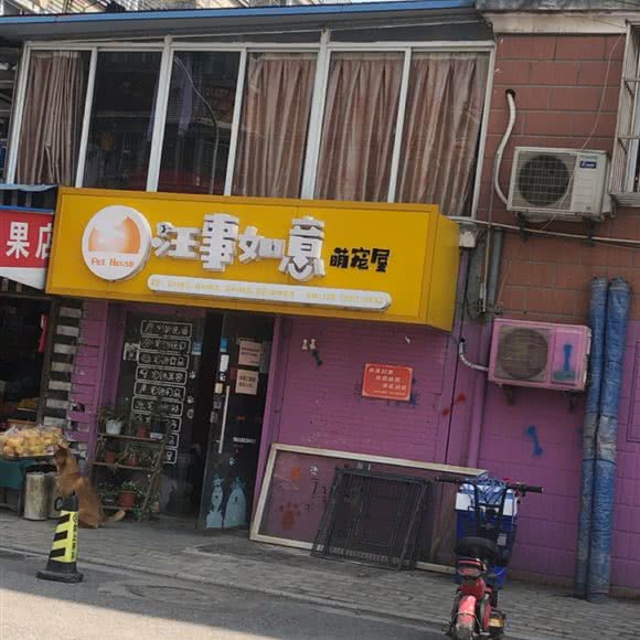 汪事如意萌宠屋:南通市崇川区青年中路附近