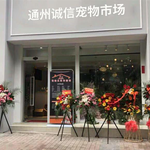 通州诚信宠物市场:北京城区通州区土桥附近