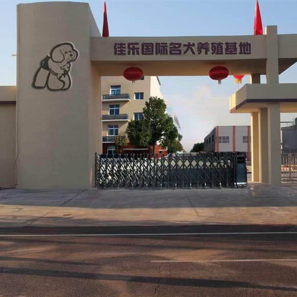 佳乐国际名犬养殖基地:北京城区通州区土桥附近
