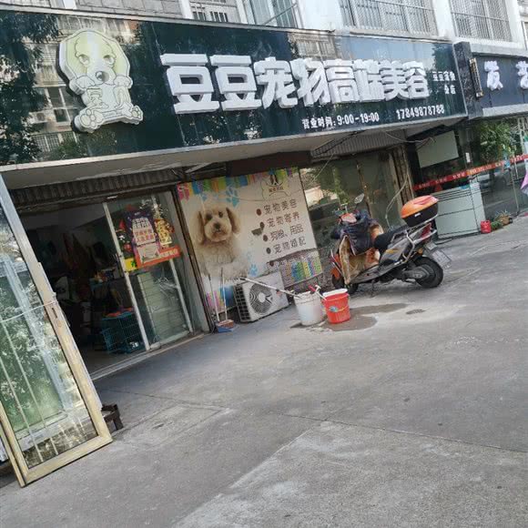 豆豆宠物高端美容(豆豆宠物分店):南通市崇川区小石桥附近