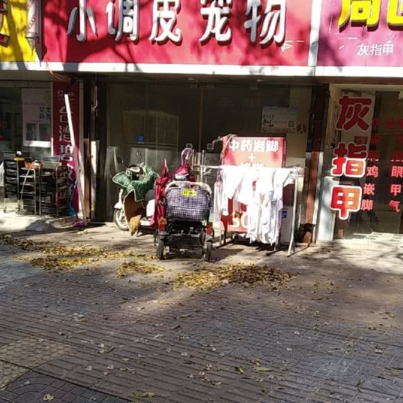 小调皮宠物:南通市崇川区小石桥附近